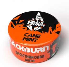 Табак д/кальяна BlackBurn Cane Mint, 25гр