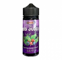 Жидкость Big Juice Salt, Лесные ягоды, можжевельник и мята, 120 мл, 3 мг/мл